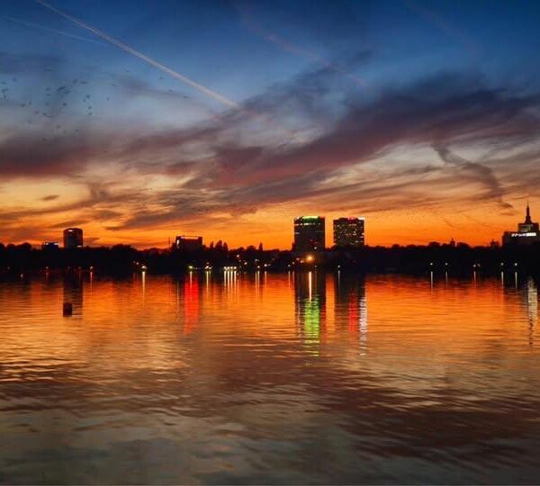 Page7 img2 600x540